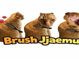 Brush Jjaemu img